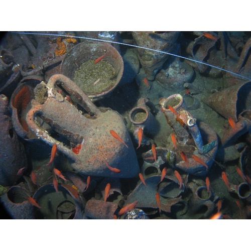 Chian amphorae in situ, in the cargo assemblage of the Mazotos shipwreck (Photographer: Bruce Hartzler. Courtesy: Maritime Archaeological Research Laboratory, Archaeological Research Unit, University of Cyprus).