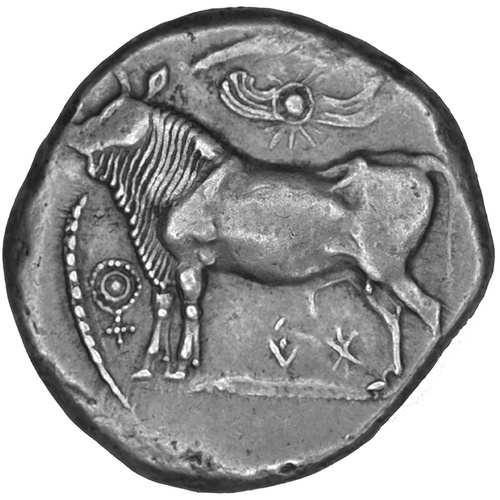 Paphos, King Ari (-), AR Siglos, Glasgow, the Hunterian Museum, no acc. number (Hunter Collection) (SilCoinCy A2003)
