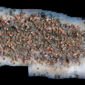 The Mazotos Shipwreck, as it was found in 2007 (Photomosaic: Bruce Hartzler. Courtesy: Maritime Archaeological Research Laboratory, Archaeological Research Unit, University of Cyprus).
