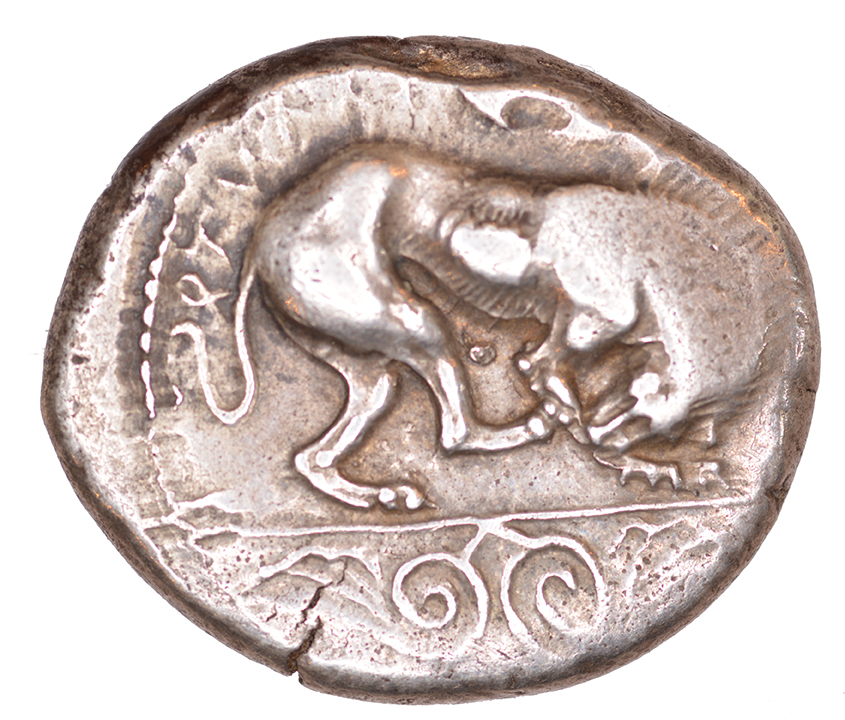 Obverse 'SilCoinCy A1062, acc.no.: BP 1825.1. Silver coin of king Sasmas of Marion 450 BC - . Weight: 10.97 g, Axis: 4h, Diameter: 24mm. Obverse type: Lion r., licking forepaw. Obverse symbol: in exergue, spiral ornament. Obverse legend: to-ka-sa-to-ro in Cypriot syllabic. Reverse type: Phrixus striding l. beside ram, within incuse square ; double axis on the field l.. Reverse symbol: Double axe. Reverse legend: ma-ri-e-u-se in Cypriot syllabic. '-'.