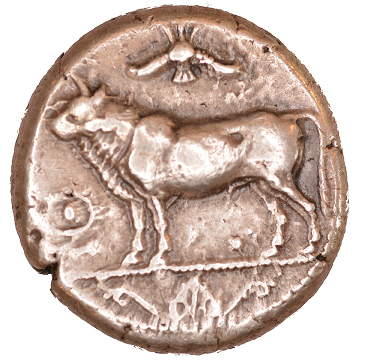 Obverse 'SilCoinCy A1064, acc.no.: KP 2056.24. Silver coin of king Stasandros of Paphos 460 - ?. Weight: 0.98 g, Axis: 9h, Diameter: 21mm. Obverse type: Bull standing l.; above winged solar disk; to l. ankh. Obverse symbol: -. Obverse legend: - in -. Reverse type: Eagle standing l. ; oenochoe on the field. Reverse symbol: -. Reverse legend: pa-si / sa-ta-si in Cypriot syllabic. '-'.
