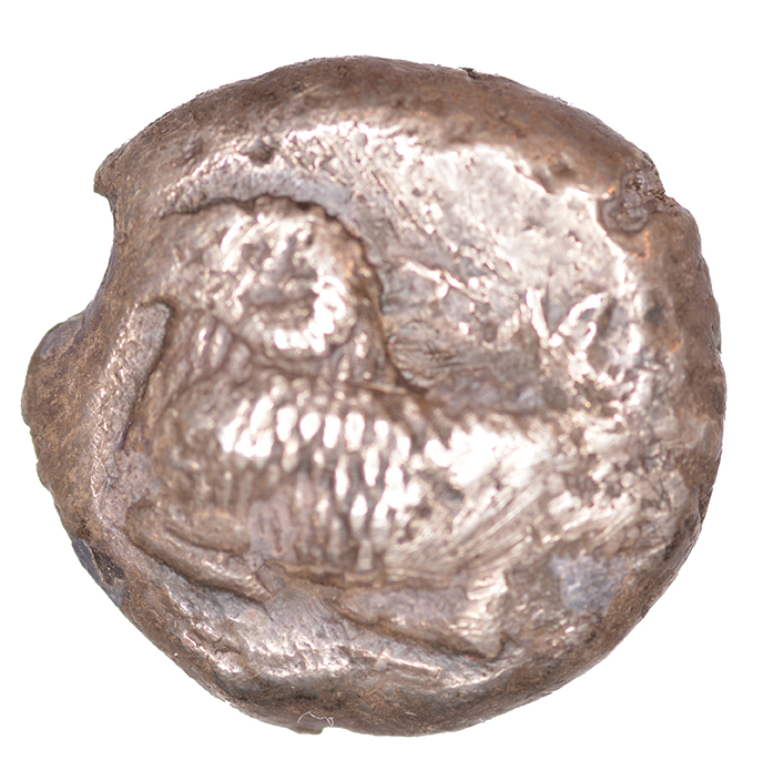 Obverse 'SilCoinCy A1069, acc.no.: KP 477.24. Silver coin of king Evelthon of Salamis 525 - 500 BC. Weight: 0.95 g, Axis: -, Diameter: 20mm. Obverse type: Ram recumbent l.. Obverse symbol: -. Obverse legend: (e)-u-we-(le)-to-ne in Cypriot syllabic. Reverse type: Smooth. Reverse symbol: -. Reverse legend: - in -. '-', 'Du classement des séries chypriotes'.