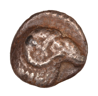 Εμπροσθότυπος 'SilCoinCy A1072, acc.no.: KP 862.8. Silver coin of king Evelthon's successors of Salamis 500 - 478 BC. Weight: 0.82 g, Axis: 12h, Diameter: 9mm. Obverse type: Ram’s head r. . Obverse symbol: -. Obverse legend: - in -. Reverse type: Ankh. Reverse symbol: -. Reverse legend: Ku in Cypriot syllabic. '-'.