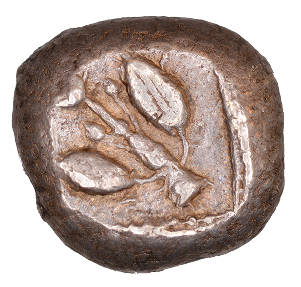 Οπισθότυπος 'SilCoinCy A1107, acc.no.: GP 3003.25. Silver coin of king Uncertain king of Cyprus (archaic period) of Uncertain Cypriot mint  - . Weight: 0.98 g, Axis: 4h, Diameter: 18mm. Obverse type: Ram standing l.. Obverse symbol: Ankh. Obverse legend: sa ? in Cypriot syllabic ?. Reverse type: Olive branch with two leaves and three olives. Reverse symbol: -. Reverse legend: - in -. 'SNG Copenhague, supplement, Acquisitions 1942-1996'.