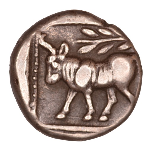 Reverse 'SilCoinCy A1108, acc.no.: KP 2216.1. Silver coin of king Uncertain king of Cyprus ? of Uncertain Cypriot mint ?  - . Weight: 3.22 g, Axis: 11h, Diameter: 14mm. Obverse type: Heracles advancing r. holding club and bow. Obverse symbol: -. Obverse legend: - in -. Reverse type: Bull standing l. ; laurel branch above. Reverse symbol: -. Reverse legend: - in -. 'SNG Copenhague, supplement, Acquisitions 1942-1996', 'BMC Cyprus, A Catalogue of the Greek Coins in the British Museum, Cyprus', 'Du classement des séries chypriotes'.