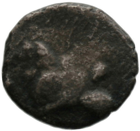 Obverse 'SilCoinCy A1801, acc.no.: 1870. Silver coin of king Uncertain king of Amathous of Amathous 460 - 350 BC. Weight: 3.1g, Axis: 5h, Diameter: 16mm. Obverse type: Lion lying l.. Obverse symbol: -. Obverse legend: - in -. Reverse type: Lion forepart l.. Reverse symbol: -. Reverse legend: - in -.