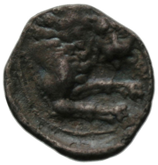Οπισθότυπος 'SilCoinCy A1804, acc.no.: . Silver coin of king Wroikos of Amathous 350 ? BC - . Weight: 1.94g, Axis: 11h, Diameter: 16mm. Obverse type: Lion's head r.. Obverse symbol: -. Obverse legend: - in -. Reverse type: Lion forepart r.. Reverse symbol: -. Reverse legend: - in -. 'BMC Cyprus, A Catalogue of the Greek Coins in the British Museum, Cyprus'.