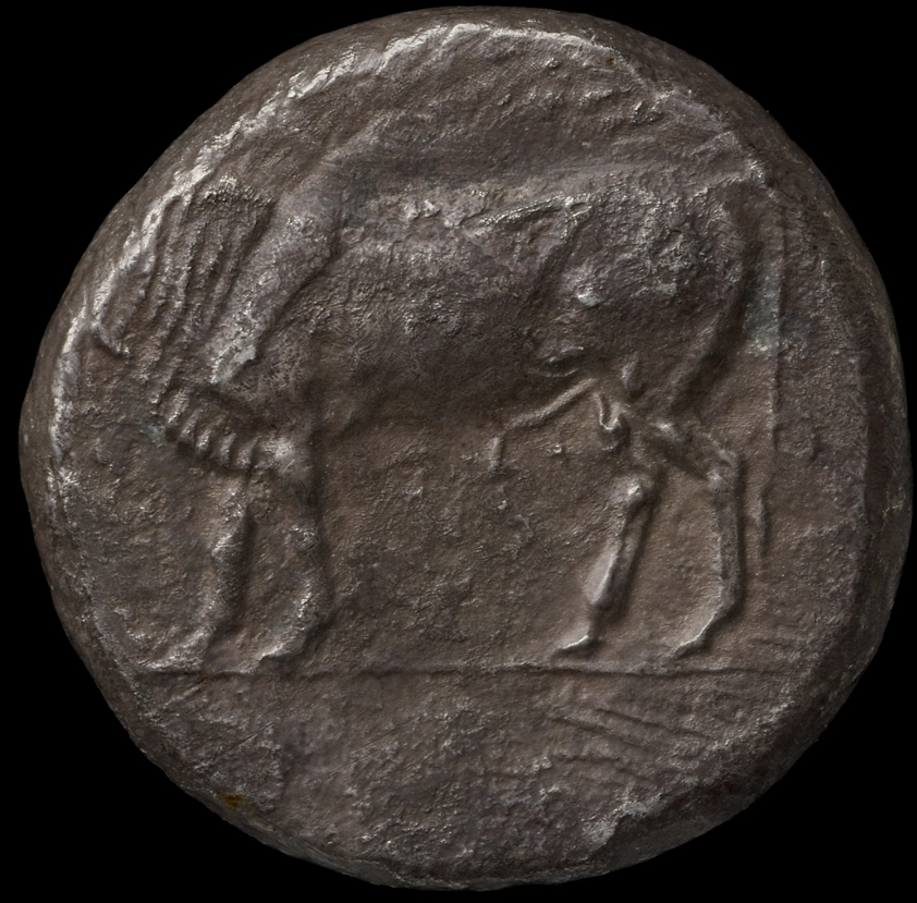 Obverse 'SilCoinCy A1827, acc.no.: HCR 7171. Silver coin of king Uncertain king of Paphos (archaic) of Paphos 525 BC - 480 BC. Weight: 10.65g, Axis: 12h, Diameter: 22mm. Obverse type: Bull standing l. on exergual line. Obverse symbol: -. Obverse legend: - in -. Reverse type: Eagle’s head l. in incuse square; below, guilloche pattern. Reverse symbol: -. Reverse legend: - in -. 'BMC Cyprus, A Catalogue of the Greek Coins in the British Museum, Cyprus'.
