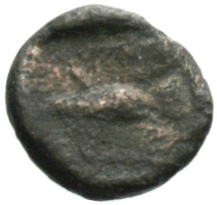 Reverse 'SilCoinCy A1834, acc.no.: . Silver coin of king Uncertain King of Paphos of Paphos 480 - 350 BC. Weight: 1.59g, Axis: 6h, Diameter: 12mm. Obverse type: Bull standing l.; above winged solar disk
. Obverse symbol: -. Obverse legend: - in -. Reverse type: Eagle flying l.. Reverse symbol: -. Reverse legend: - in -. 'BMC Cyprus, A Catalogue of the Greek Coins in the British Museum, Cyprus'.