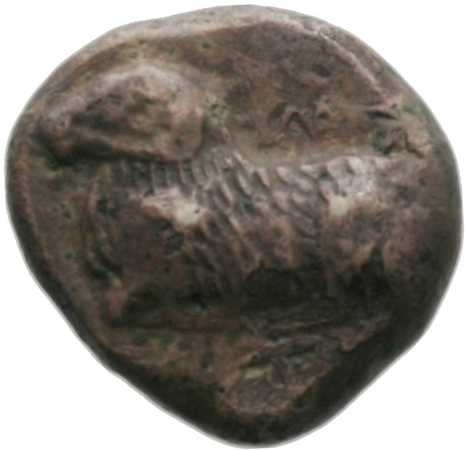 Obverse 'SilCoinCy A1835, acc.no.: . Silver coin of king Evelthon of Salamis 525 - 500 BC. Weight: 0.7g, Axis: -, Diameter: 19mm. Obverse type: Ram recumbent l.. Obverse symbol: -. Obverse legend: e-u in cypriot syllabic. Reverse type: Smooth. Reverse symbol: -. Reverse legend: - in -. 'BMC Cyprus, A Catalogue of the Greek Coins in the British Museum, Cyprus'.