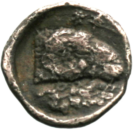 Reverse 'SilCoinCy A1844, acc.no.: . Silver coin of king Evanthes of Salamis ca 450 BC
 - . Weight: 1.59g, Axis: 2h, Diameter: 13mm. Obverse type: Ram recumbent l.. Obverse symbol: -. Obverse legend: pa in Cypriot syllabic. Reverse type: Ram's head r. ; laurel branch below. Reverse symbol: -. Reverse legend: pa-e in Cypriot syllabic.