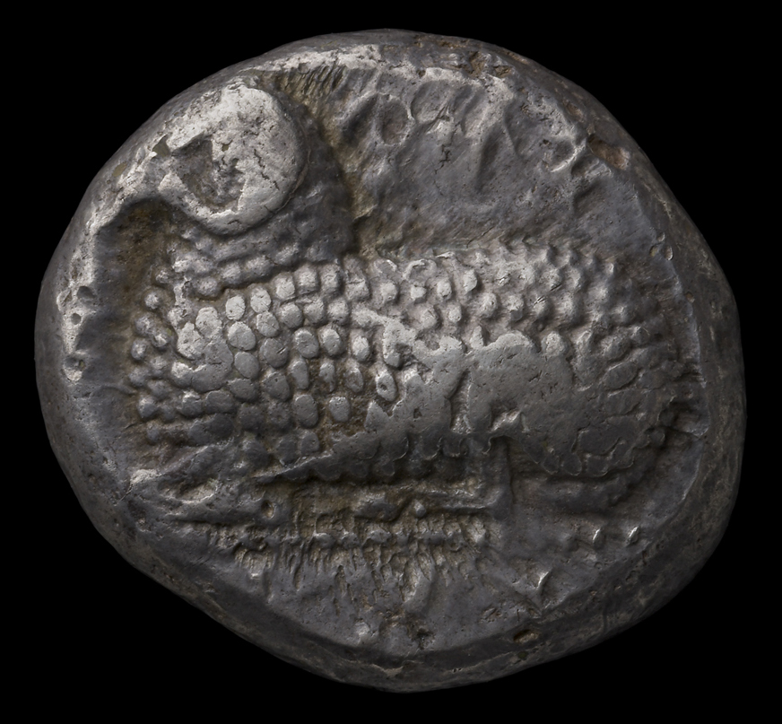 Obverse 'SilCoinCy A1853, acc.no.: HCR 6321. Silver coin of king Evelthon's successors of Salamis 500 - 478 BC. Weight: 11.11g, Axis: 12h, Diameter: 25mm. Obverse type: Ram recumbent l.. Obverse symbol: -. Obverse legend: e-u-we in Cypriot syllabic. Reverse type: Ankh in incuse square. Reverse symbol: -. Reverse legend: pa-si-le-wo / pa in Cypriot syllabic.