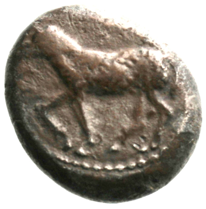 Εμπροσθότυπος 'SilCoinCy A1899, acc.no.: . Silver coin of king  of  . Weight: 0.75g, Axis: 9h, Diameter: 20mm. Obverse type: -. Obverse symbol: -. Obverse legend: - in -. Reverse type: -. Reverse symbol: -. Reverse legend: - in -.