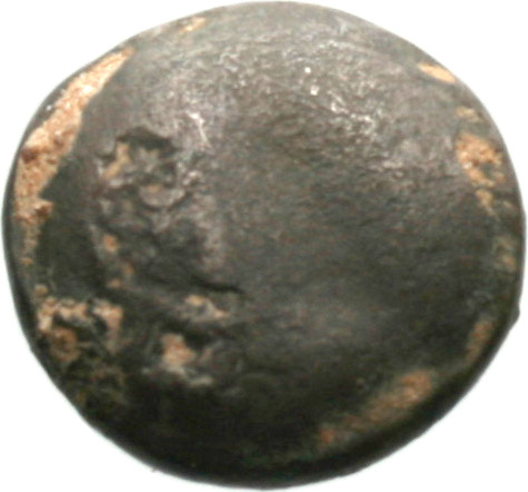 Εμπροσθότυπος 'SilCoinCy A1933, acc.no.: . Silver coin of king Uncertain king of Paphos (archaic) of Paphos 525 BC - 480 BC. Weight: 3.46g, Axis: 12h, Diameter: 14mm. Obverse type: -. Obverse symbol: -. Obverse legend: - in -. Reverse type: Eagle’s head l.. Reverse symbol: -. Reverse legend: - in -.