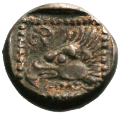 Οπισθότυπος 'SilCoinCy A1933, acc.no.: . Silver coin of king Uncertain king of Paphos (archaic) of Paphos 525 BC - 480 BC. Weight: 3.46g, Axis: 12h, Diameter: 14mm. Obverse type: -. Obverse symbol: -. Obverse legend: - in -. Reverse type: Eagle’s head l.. Reverse symbol: -. Reverse legend: - in -.