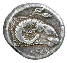 Reverse 'SilCoinCy A5005, acc.no.: 4224. Silver coin of king Evanthes of Salamis ca 450 BC
 - . Weight: 11g, Axis: 12h, Diameter: 22.5mm. Obverse type: Κριάρι ξαπλωμένο (α). Obverse symbol: -. Obverse legend: - in Cypriot syllabic. Reverse type: Κεφαλή κριαριού (δ). Επάνω κλαδί.. Reverse symbol: -. Reverse legend: - in Cypriot syllabic.